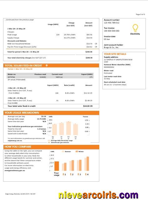 Australia New South Wales (NSW) Origin electricity business utility bill forma 3pages